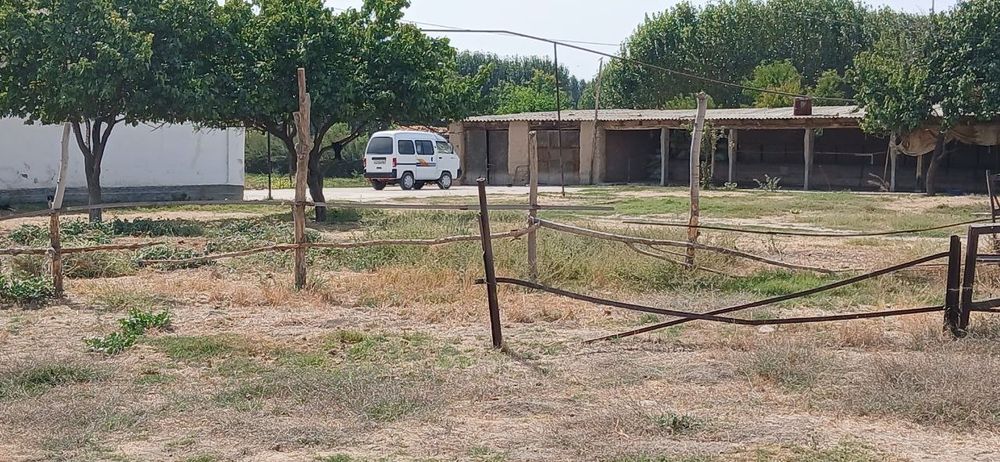 1gektar yer sotiladi