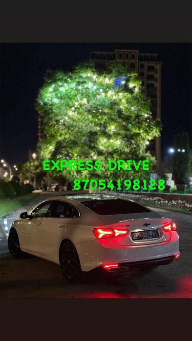 Трезвый водитель