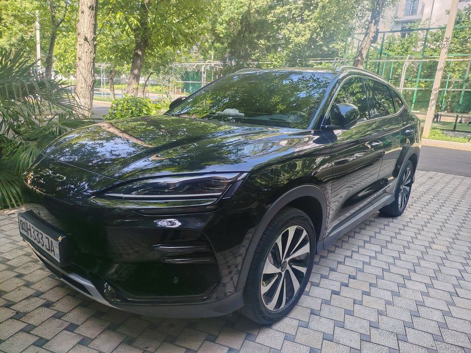 Byd song plus champion