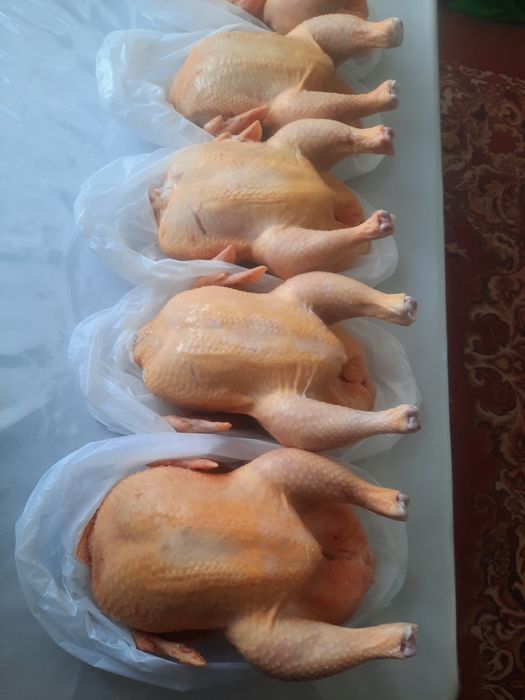 Тушки мясной домашней курицы