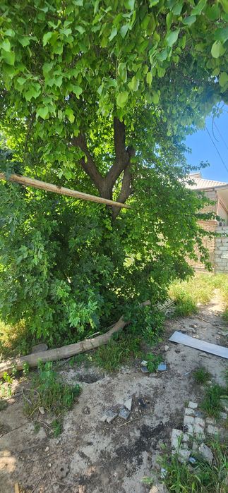 Ховли ижарага берилади