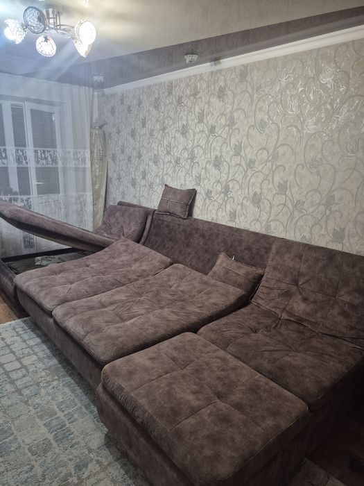 Диван пума, длина 3.9 м.