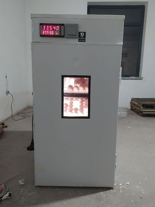 Инкубатор 350 талик (выводной 700)