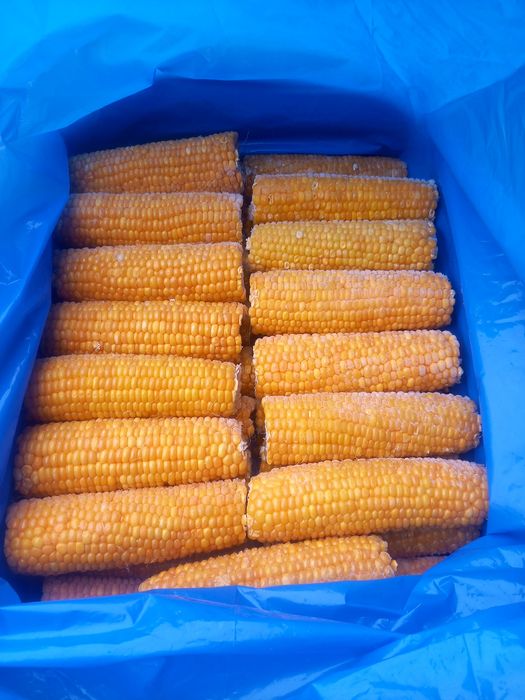 Сладкая кукуруза