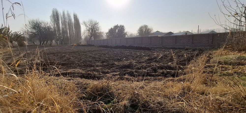 Mingtepa MFY Hakimpolvon qiishlog'i