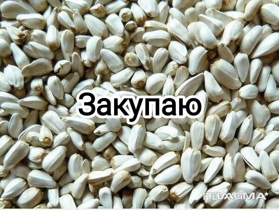 Семена сафлора очищенный