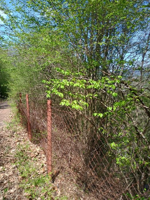 Продава се Къща в с. Луково, Област София-област - 24 кв.м за 625 €/кв.м - Снимка #15