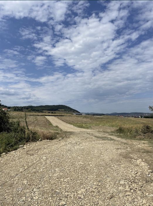 Teren zona Wonderland