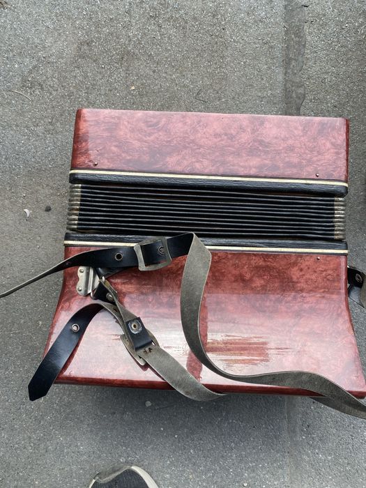 Акордеон Мальиш