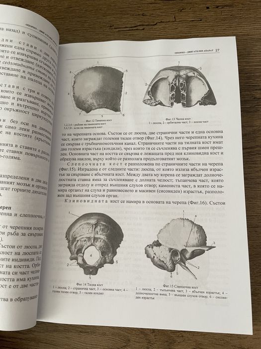 Учебник по анатомия и физиология на човека ПУ