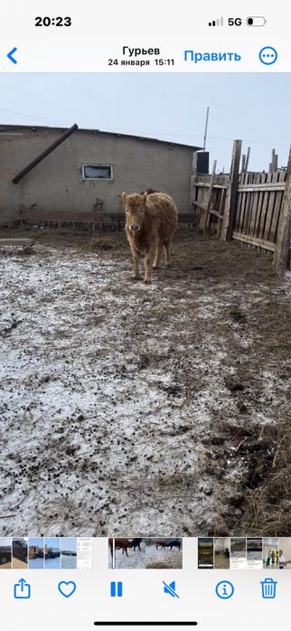 2025  баспактары