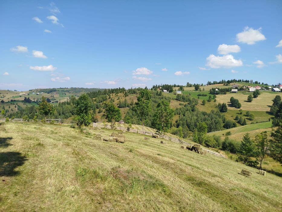 Teren de vânzare Măguri