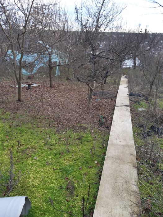 Casa batraneasca com Izvoarele