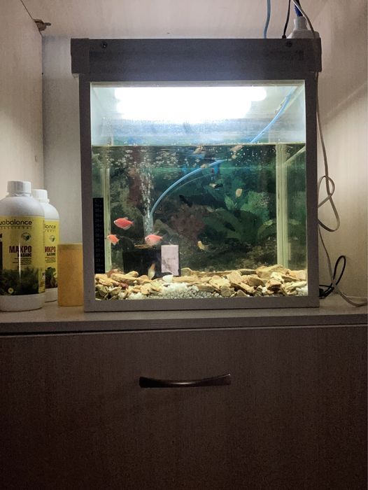 продам аквариум и все к нему