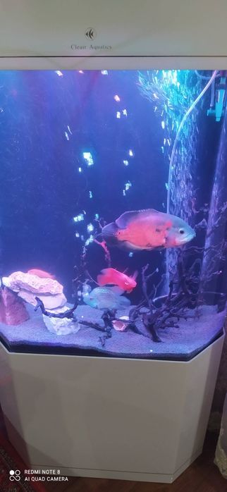 Продам аквариум от фирмы Clear Aquatics