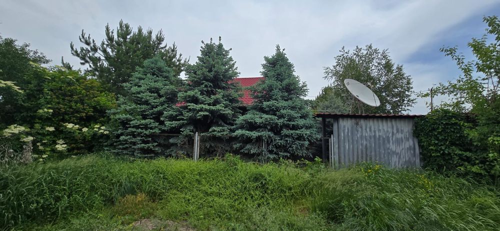 Продам дачу общество садовод.