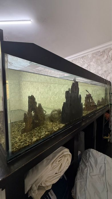 Продаю аквариум