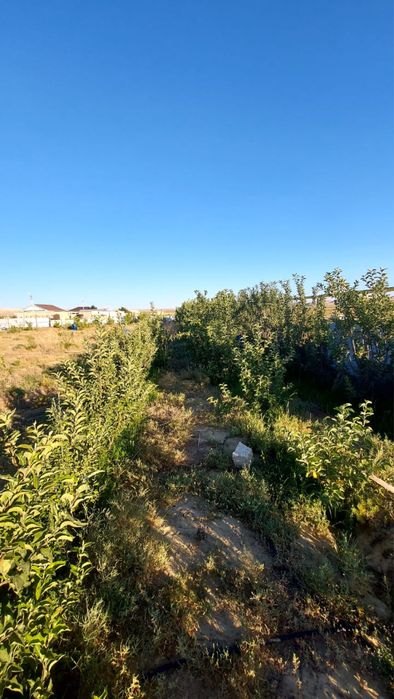 Бакша сенек ауылында 2000м2 0,2гектар