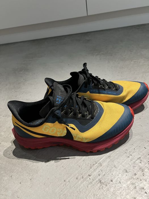 Nike Zoom Pegasus 36 Trail GTX GORE-TEX