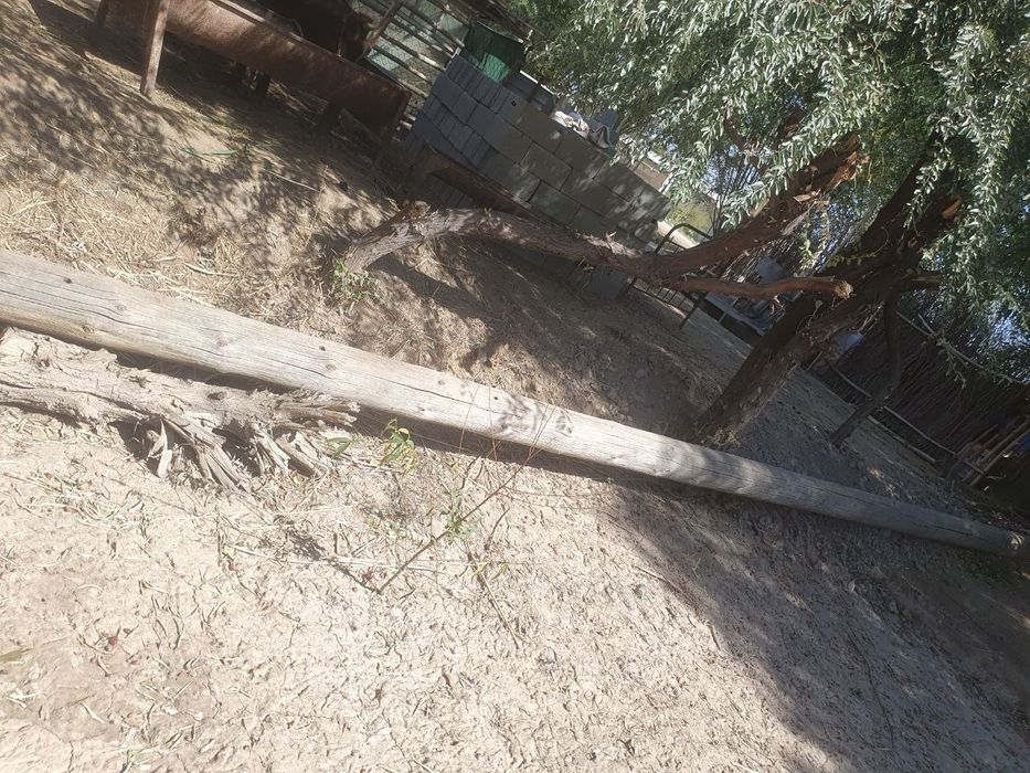 Агаш столба бар узынлыгы 8,5 метр 2 штук