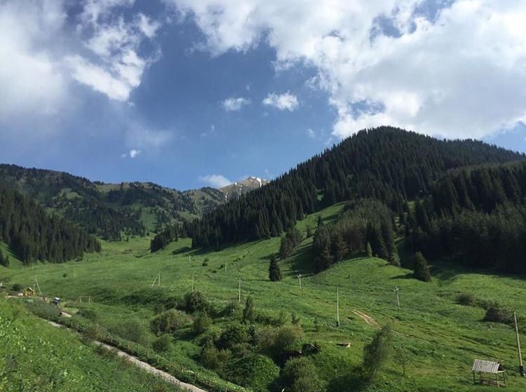 Дом в аренду «Дом у гор»
