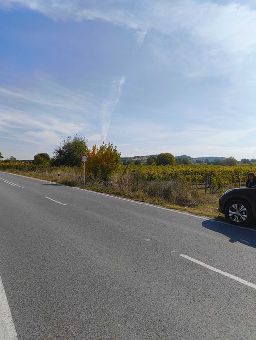 Продава се Парцел в с. Козаново, Област Пловдив - 759 кв.м за 40 €/кв.м - Снимка #8