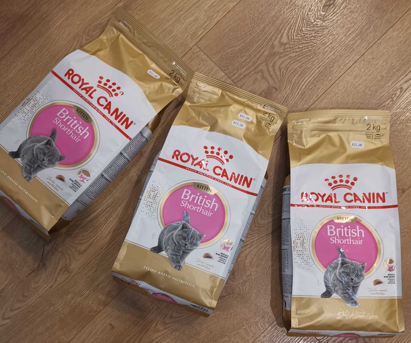 Котешка храна Royal Canin Junior за британки