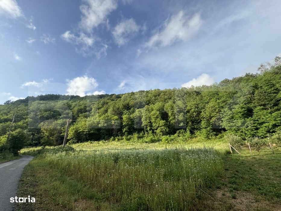 Teren intravilan de 4558 mp