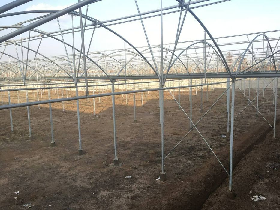 Teplisa eron teplisa 1 gektar