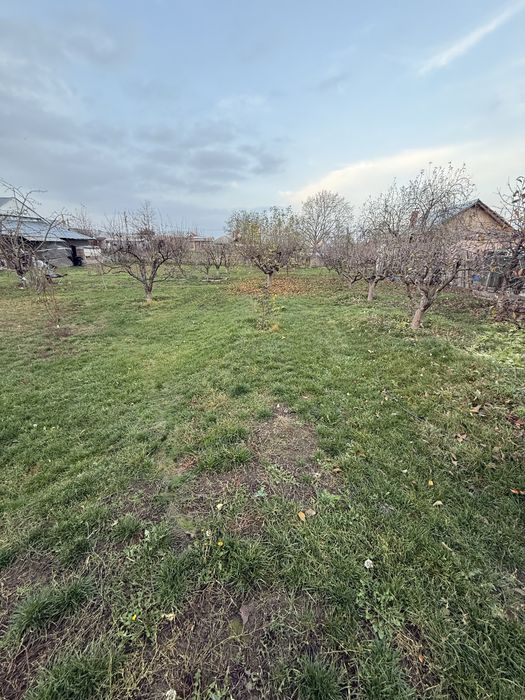 Casa teren intravilan