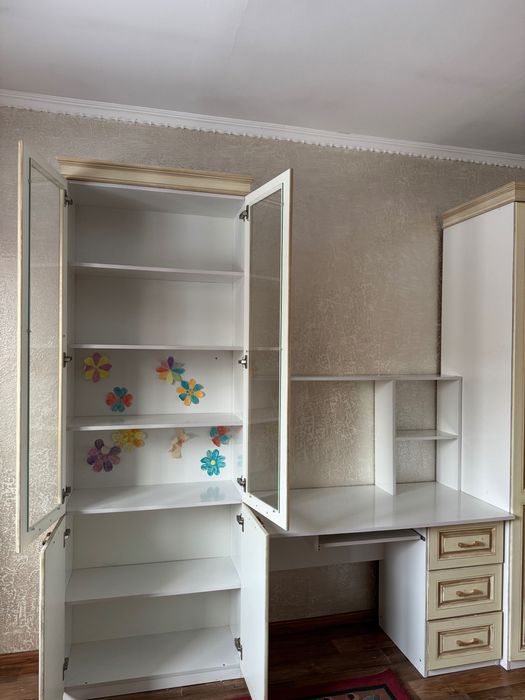 Меха Шкаф для учебы и для одежды