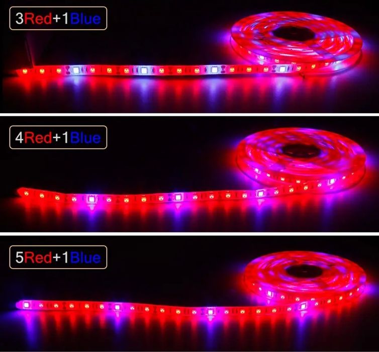 Фитолента для растений