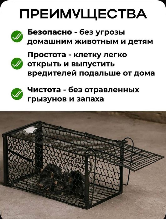 Крысолова мышеловка гуманная