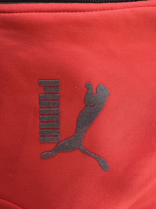 PUMA / костюм спортивный женский