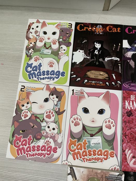 Сомикси на аниглийски ( manga )
