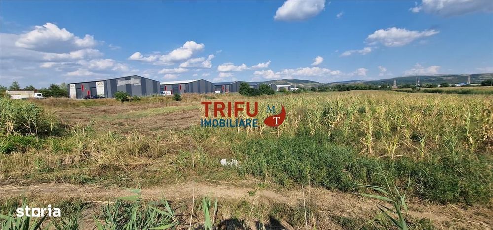 Teren intravilan 5.756 mp cu acces direct la Șoseaua de Centură – Alba