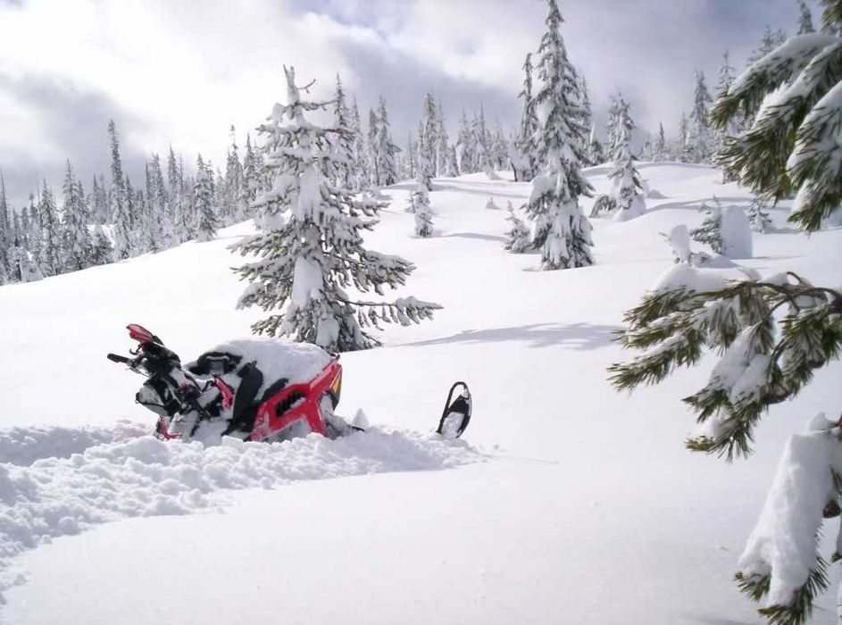 Диагностика ремонт моторни шейни, Arctic Cat, Polaris, Yamaha, SKI DOO