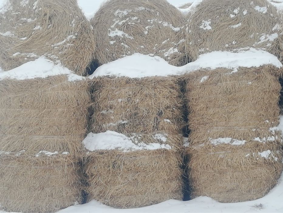 Продам слому, болшие рулоны Ечмен