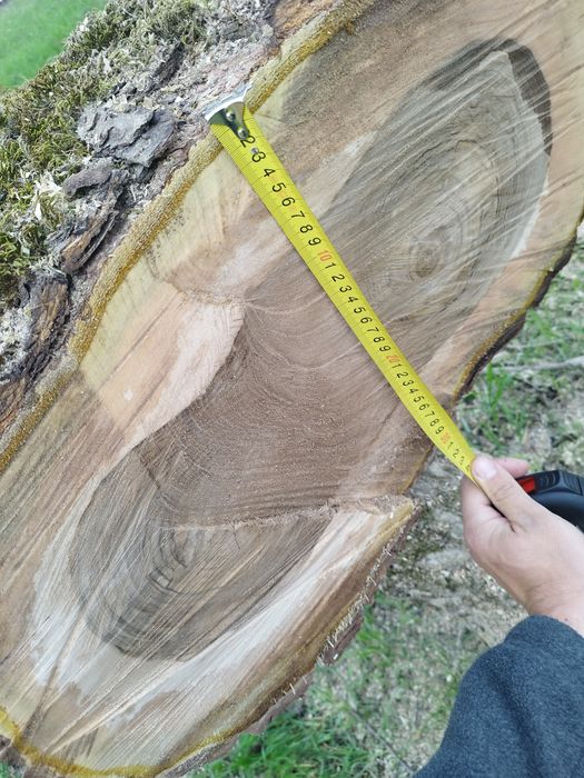 Trunchi de nuc fara crăpături