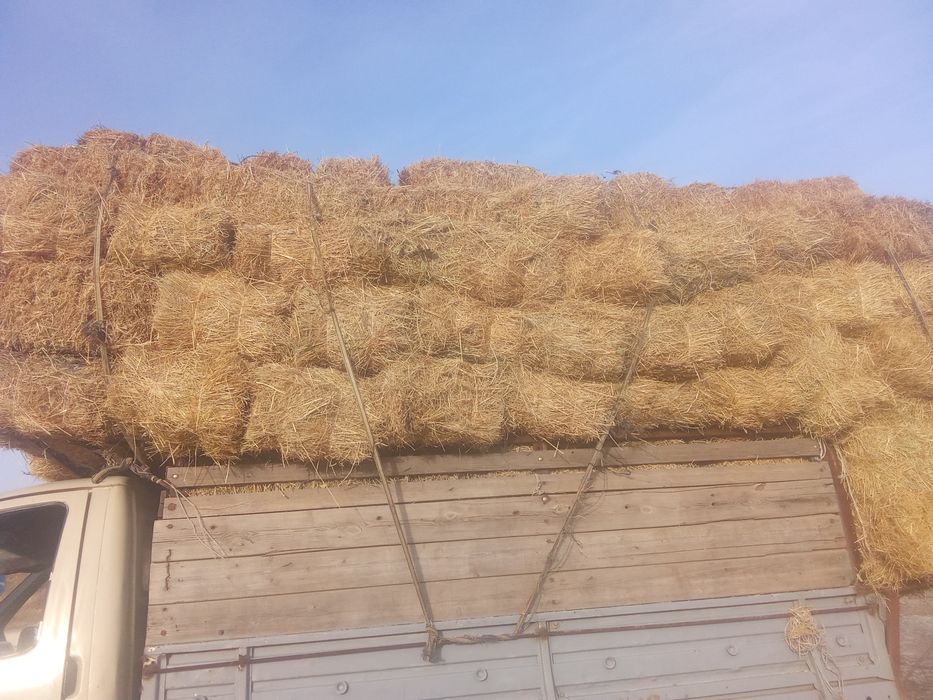 Табиғи шоп бар,доставкасы бар келісеміз