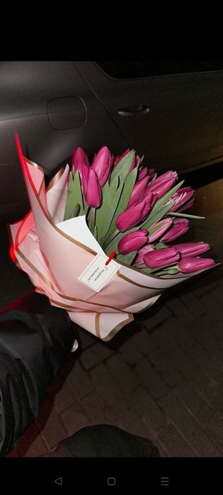 Голландские тюльпаны недорого