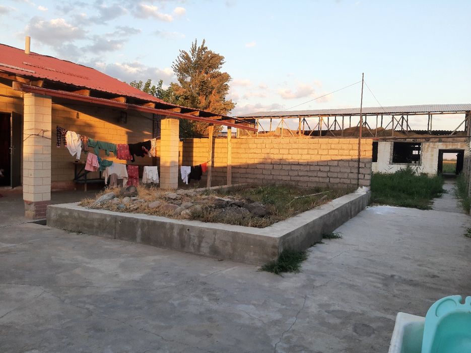 СРОЧНО продаётся дом и ферма в политотделе