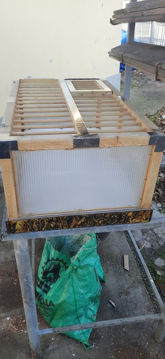 Преноски за гълъби