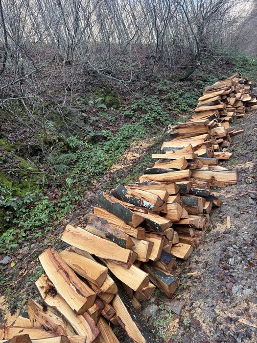 ‼️SC Vindem lemne de foc VERZI/USCATE [Fag,gorun,carpen,cer]