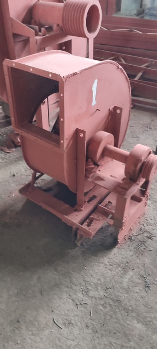 Продаются улитки