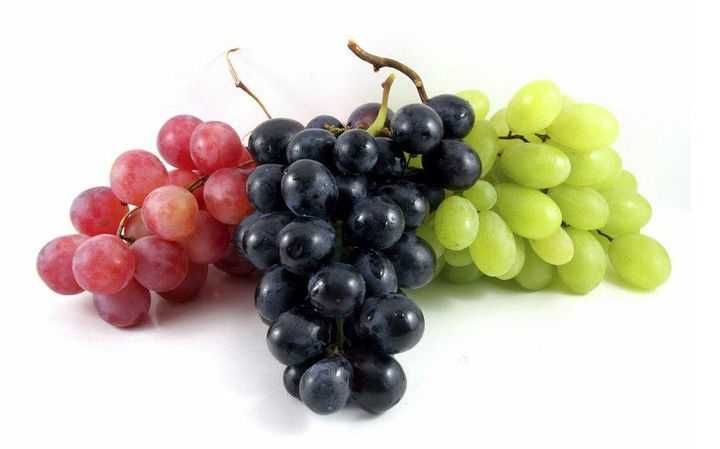 Ko'chat | Nihol |  Кучат | Нихол /Дарахт Оптом дехкондан