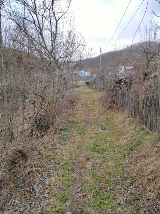 Vânzare teren în Satul Strezeni, comuna Tisău (Buzău)