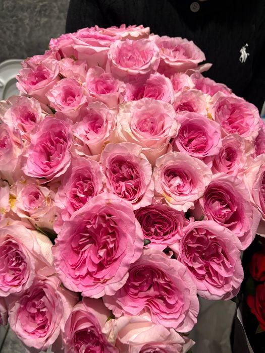 Розы 51 шт 100см