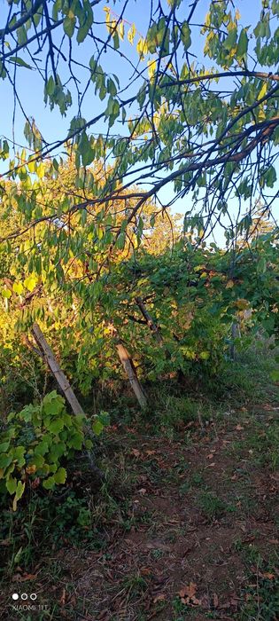 Продава се Къща в Враца, Студентски град - 68 кв.м за 225 €/кв.м - Снимка #4