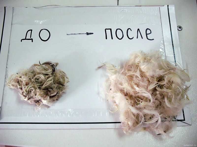 Профессиональная чистка подушек